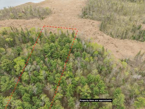 Tbd Chokecherry Drive Nevis MN 56467