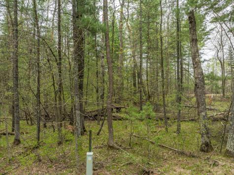 Tbd Chokecherry Drive Nevis MN 56467