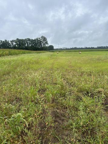 Lot 1 Orlando Avenue Hastings MN 55033