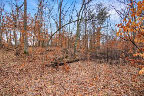 Tbd Lots 200 & 201 Lynx Drive Breezy Point MN 56472