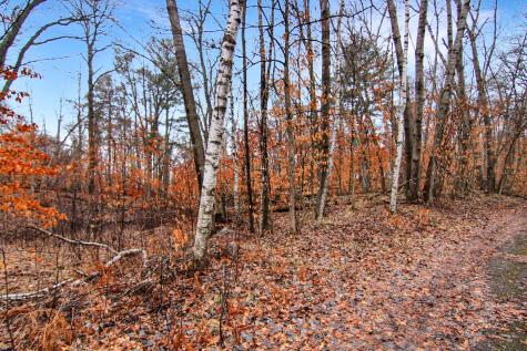 Tbd Lots 200 & 201 Lynx Drive Breezy Point MN 56472