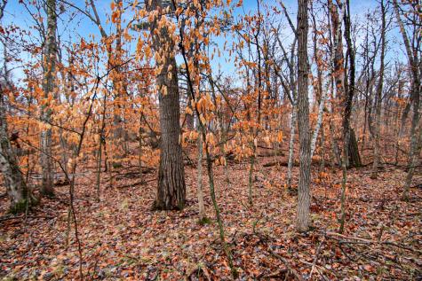 Tbd Lots 200 & 201 Lynx Drive Breezy Point MN 56472