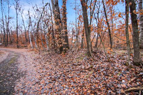 Tbd Lots 200 & 201 Lynx Drive Breezy Point MN 56472