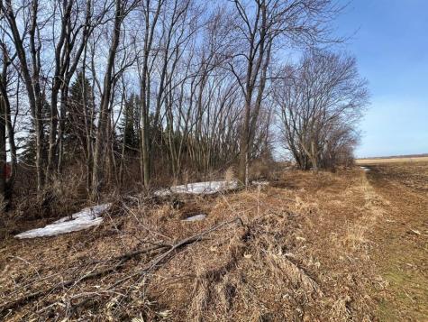Tbd 120th Street SW Milan MN 56262