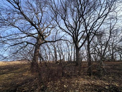 Tbd 120th Street SW Milan MN 56262
