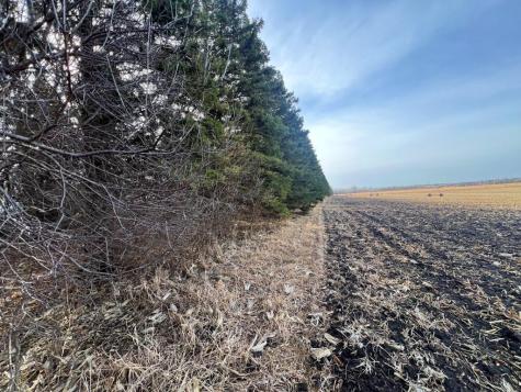 Tbd 120th Street SW Milan MN 56262