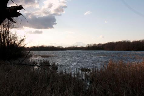 981 Peninsula Point Road Shakopee MN 55379