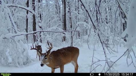 Block 6 Comet Road Exeland WI 54835
