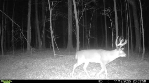 Block 6 Comet Road Exeland WI 54835