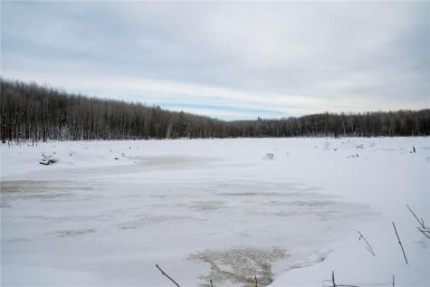 Block 6 Comet Road Exeland WI 54835