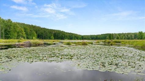 Block 6 Comet Road Exeland WI 54835