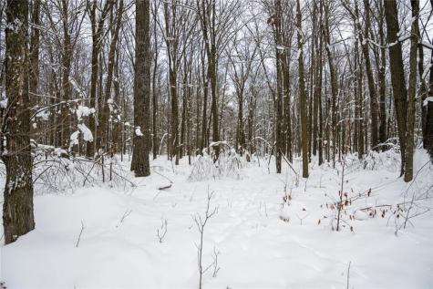 Block 6 Comet Road Exeland WI 54835