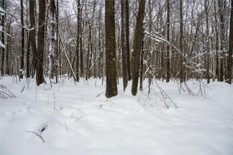 Block 6 Comet Road Exeland WI 54835