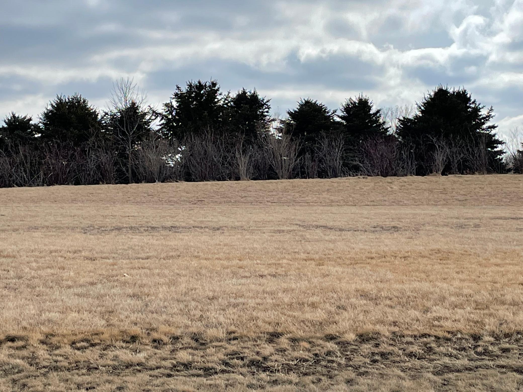 531 Hillcrest Street Edgerton MN 56128