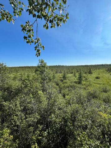 Xxx U S Highway 169 Aitkin MN 56469