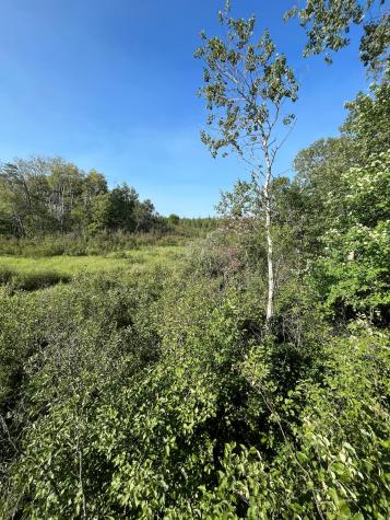 Xxx U S Highway 169 Aitkin MN 56469