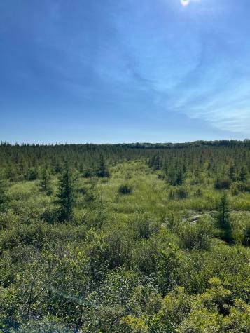 Xxx U S Highway 169 Aitkin MN 56469