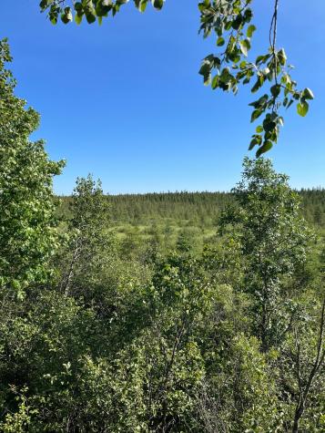 Xxx U S Highway 169 Aitkin MN 56469