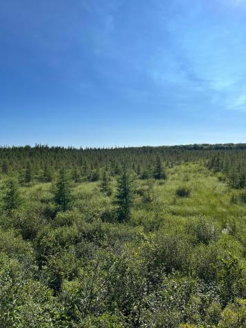 Xxx U S Highway 169 Aitkin MN 56469