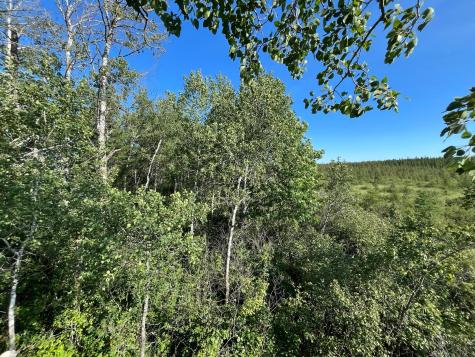 Xxx U S Highway 169 Aitkin MN 56469
