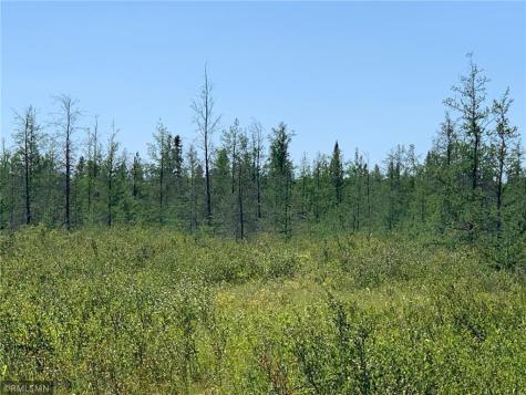 Xxx U S Highway 169 Aitkin MN 56469