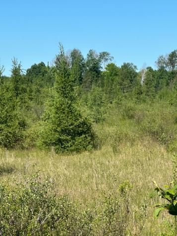 Xxx U S Highway 169 Aitkin MN 56469