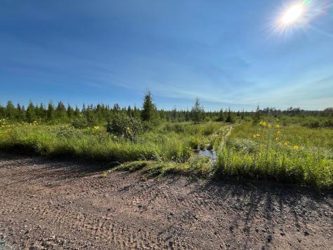 Xxx U S Highway 169 Aitkin MN 56469