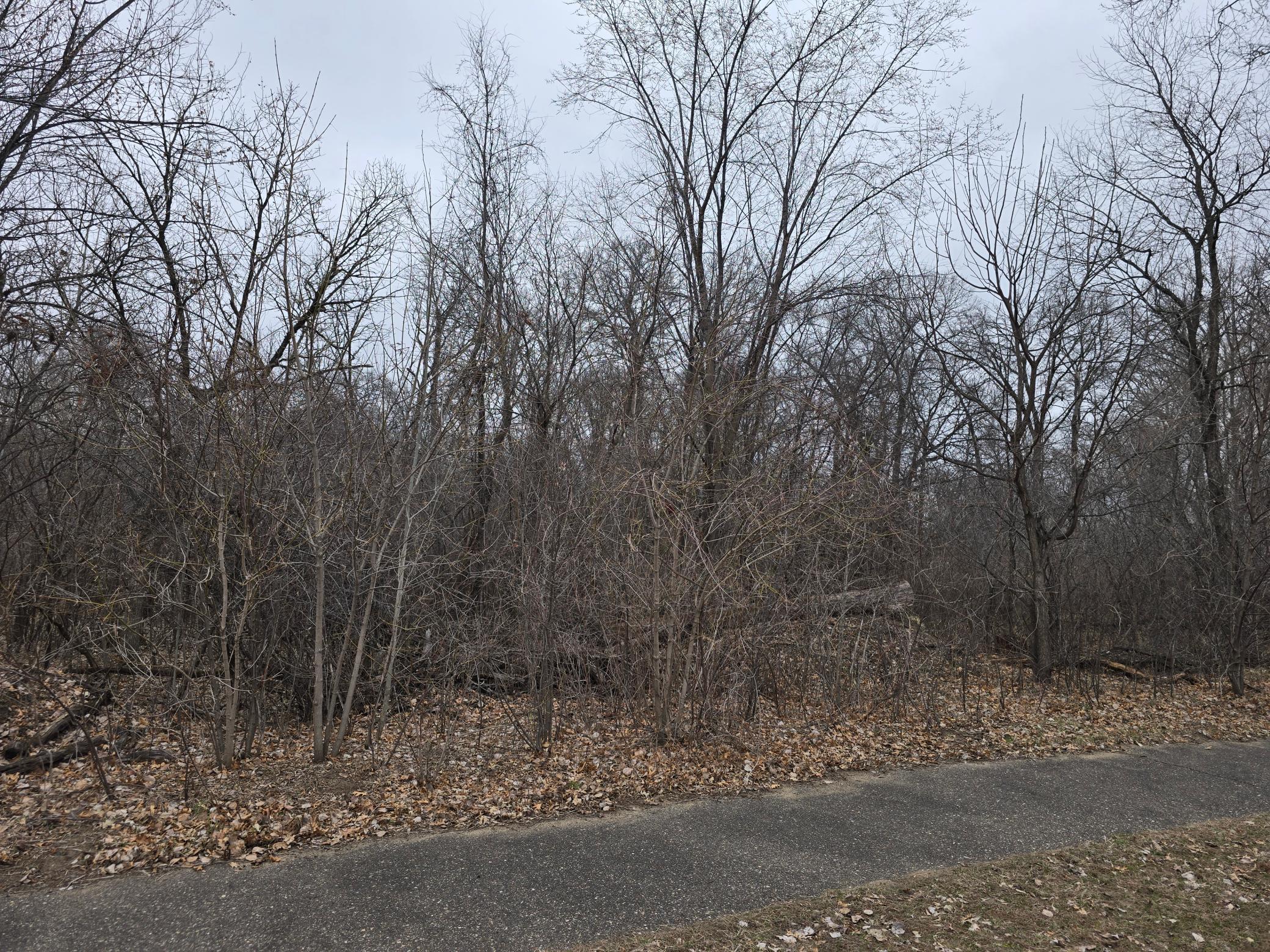 L2,B2 288th Avenue NW Zimmerman MN 55398