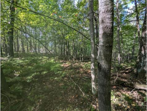L23 B32 Shady Trail Breezy Point MN 56472