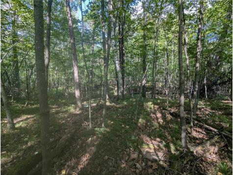 L23 B32 Shady Trail Breezy Point MN 56472
