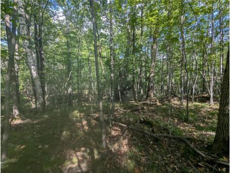L23 B32 Shady Trail Breezy Point MN 56472
