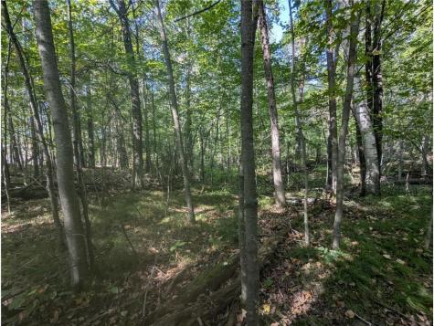 L23 B32 Shady Trail Breezy Point MN 56472