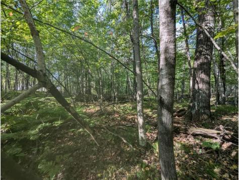 L23 B32 Shady Trail Breezy Point MN 56472