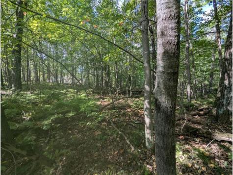 L23 B32 Shady Trail Breezy Point MN 56472