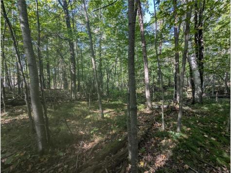 L23 B32 Shady Trail Breezy Point MN 56472
