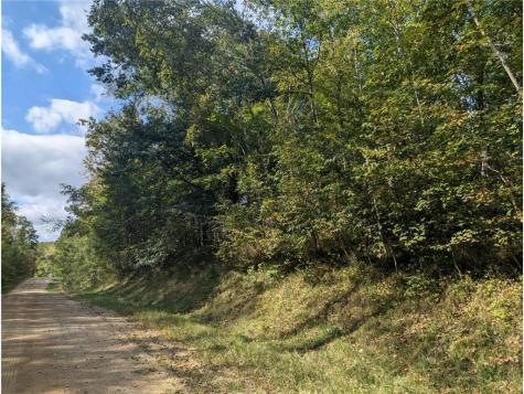 L23 B32 Shady Trail Breezy Point MN 56472