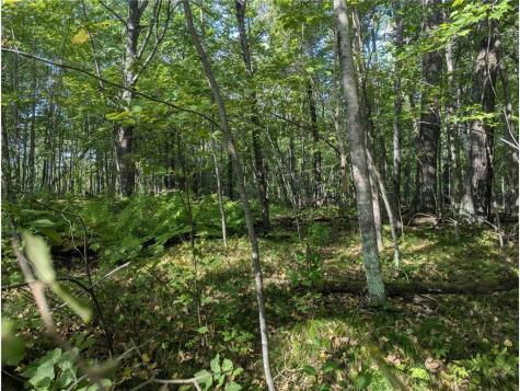 L23 B32 Shady Trail Breezy Point MN 56472