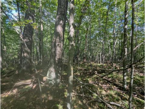L23 B32 Shady Trail Breezy Point MN 56472