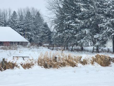23466 710th Street Hayfield MN 55940