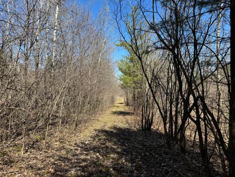 0000 110th Avenue Glenwood City WI 54013