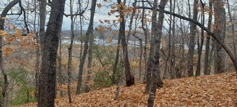 220TH 220th Street Clitherall MN 56524