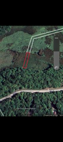 220TH 220th Street Clitherall MN 56524