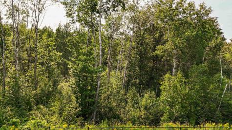 TBD7 Winter Creek Court Nisswa MN 56468