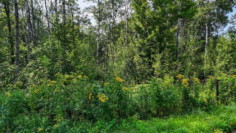 TBD7 Winter Creek Court Nisswa MN 56468