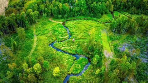 Lot 3 N Blackduck Lake Road NE Hines MN 56647