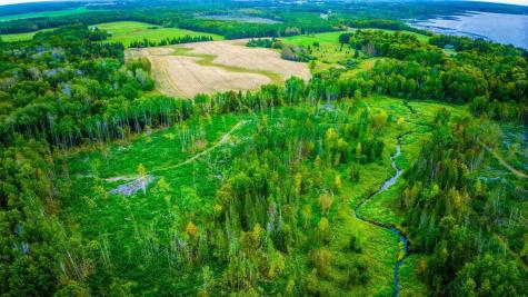 Lot 3 N Blackduck Lake Road NE Hines MN 56647