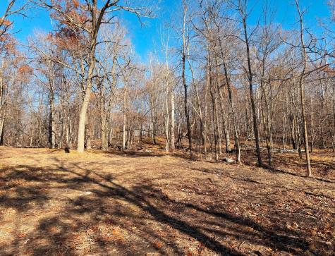 Tbd 330th Avenue Rochert MN 56578