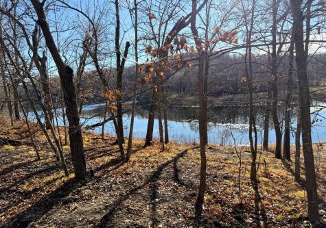 Tbd 330th Avenue Rochert MN 56578