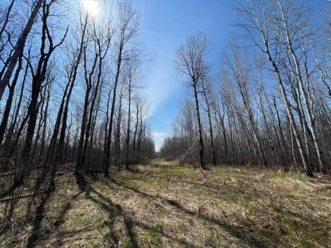 Tbd Gulley Road Maple WI 54854