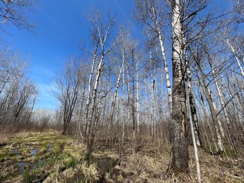 Tbd Gulley Road Maple WI 54854